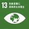 SDG's - 13