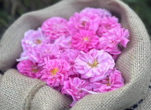 Natural essential oils