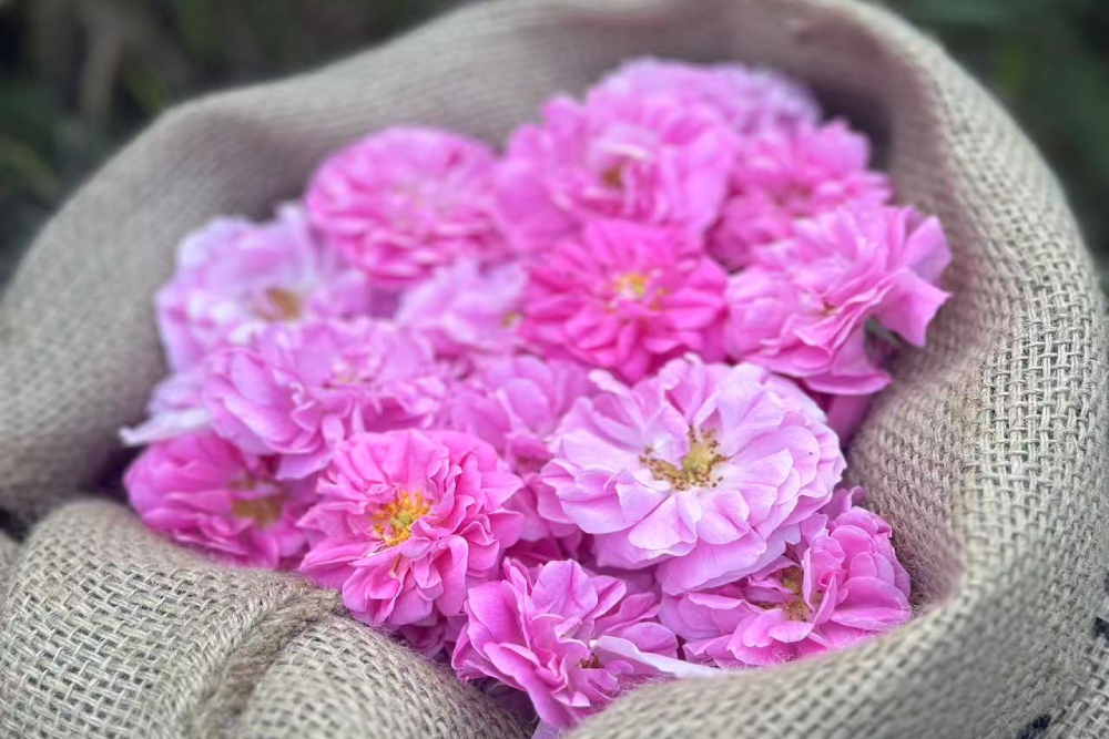 Natural essential oils